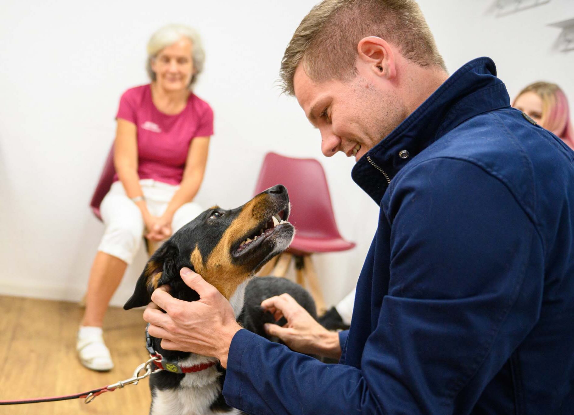 Tierarzt Martin Wackernagel betreut einen Hund in der VetaLife-Praxis